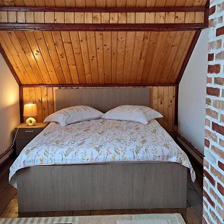 Casa Marcela Fundata Dış mekan fotoğraf