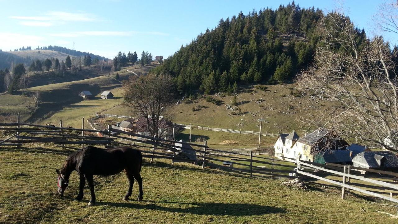 Casa Marcela Fundata Dış mekan fotoğraf