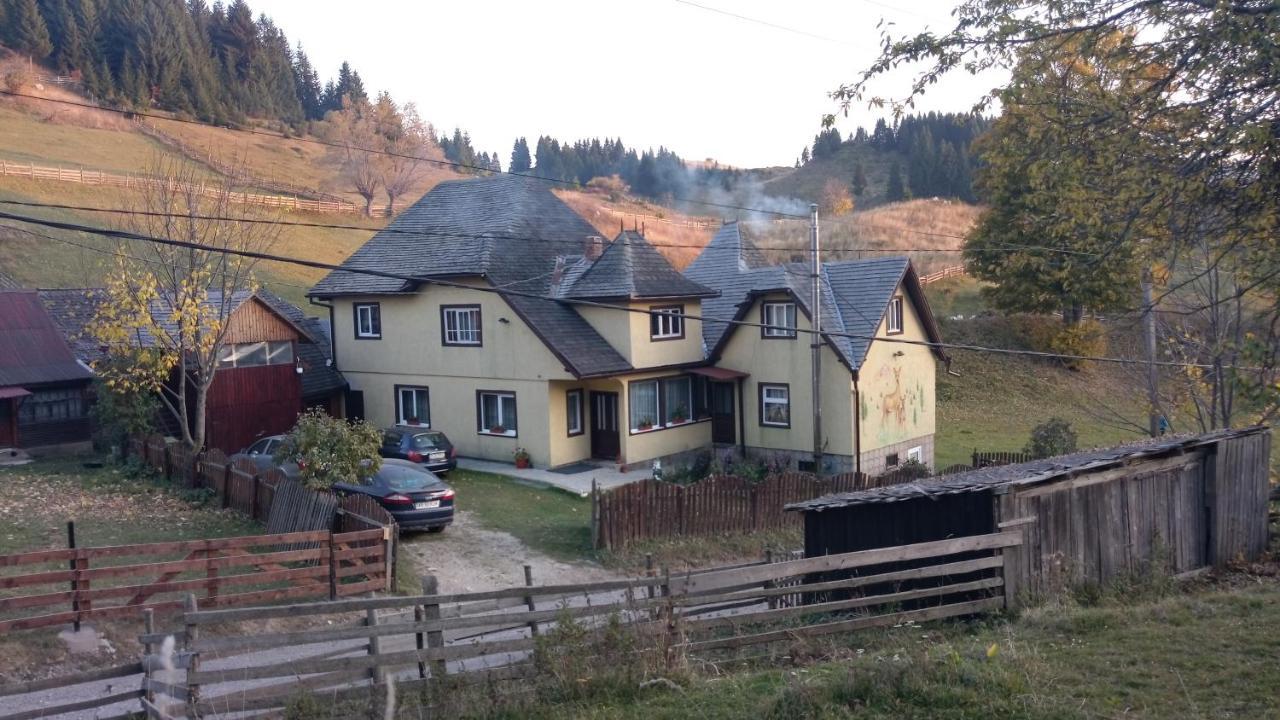 Casa Marcela Fundata Dış mekan fotoğraf
