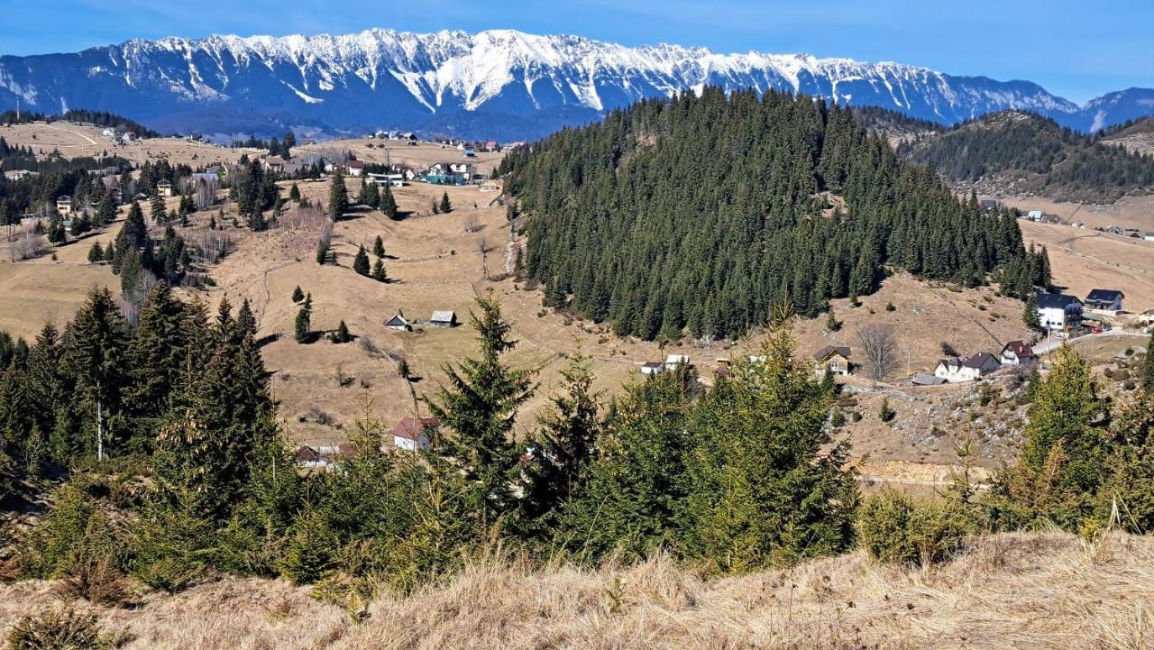 Casa Marcela Fundata Dış mekan fotoğraf