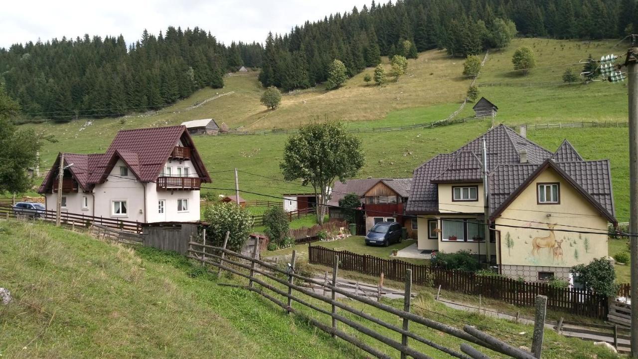 Casa Marcela Fundata Dış mekan fotoğraf
