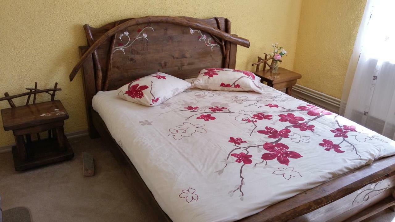 Casa Marcela Fundata Dış mekan fotoğraf